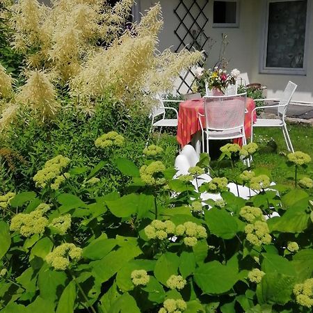 Secret Garden House In The Center Of Sigulda Villa Kültér fotó