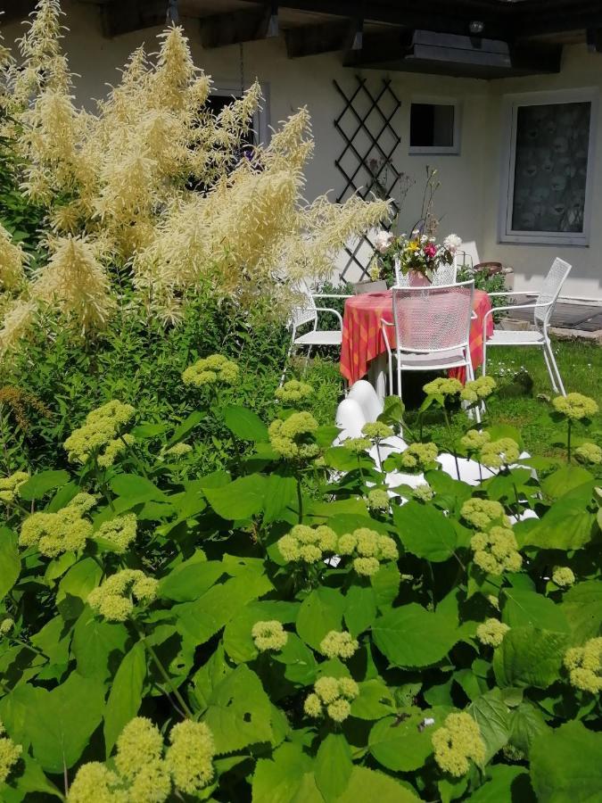 Secret Garden House In The Center Of Sigulda Villa Kültér fotó