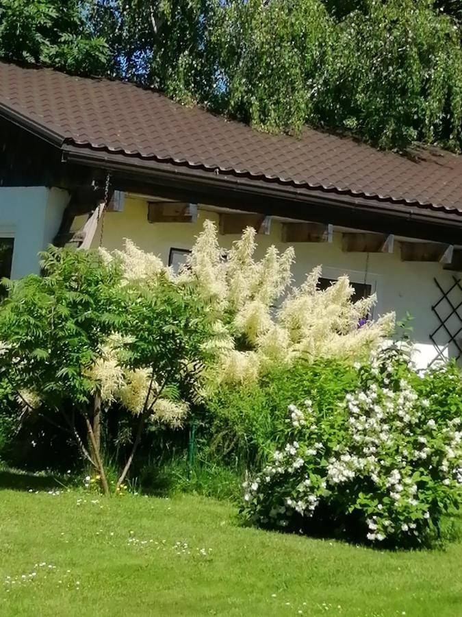 Secret Garden House In The Center Of Sigulda Villa Kültér fotó